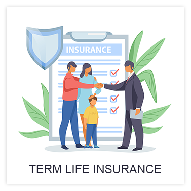 Term Life Insurance